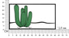 Wanddekoration Cactus Mehrfarben (5)