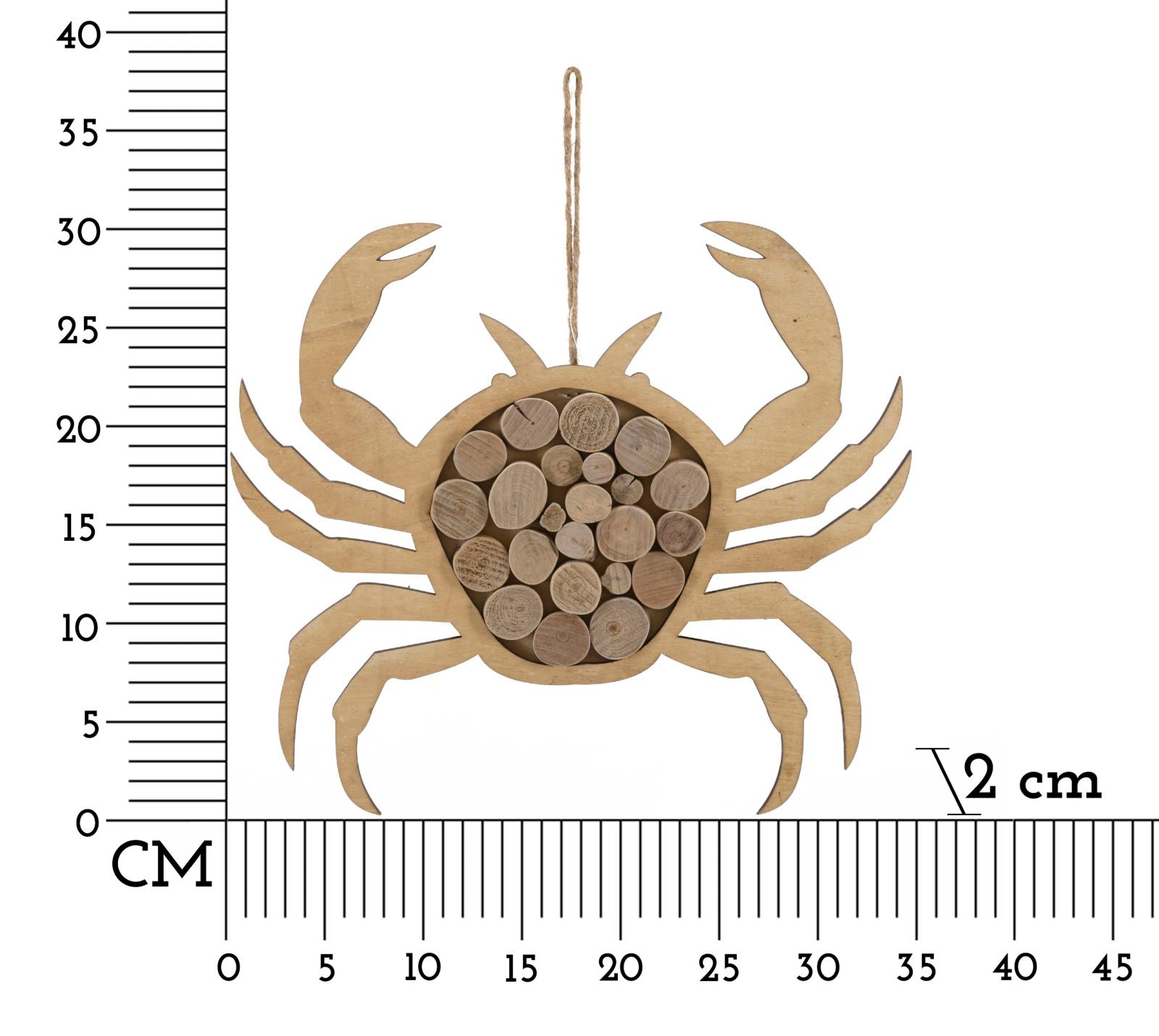 Wanddekoration Crab Nature Natürlich (5)