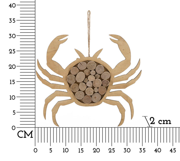 Wanddekoration Crab Nature Natürlich (5)