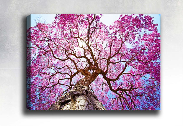 Leinwandbild Pink Blossom Mehrfarben, & OYOTR-151572134 & OYOTR-151572134 & OYOTR-151572134