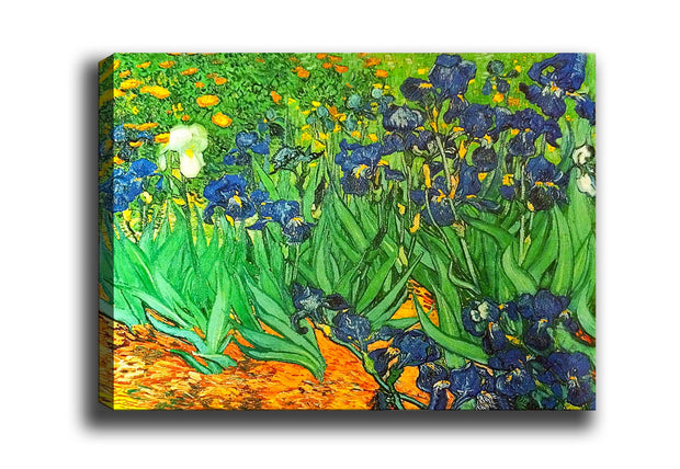 Leinwandbild Irises Field Mehrfarben, & OYOTR-74366078948-7436501499471