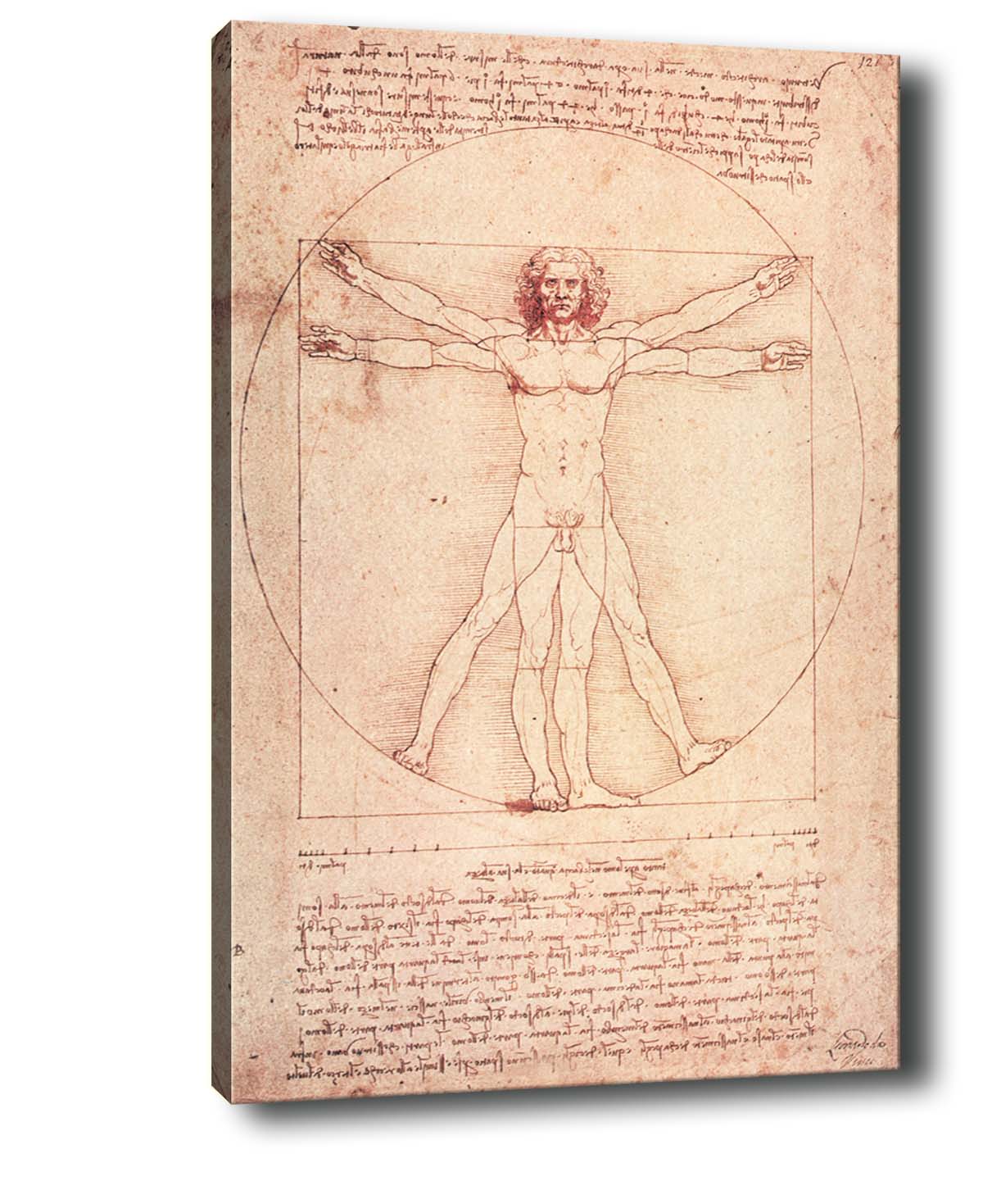 Leinwandbild Vitruvian Man Mehrfarben, & OYOTR-7436501999971 & OYOTR-7436501999971