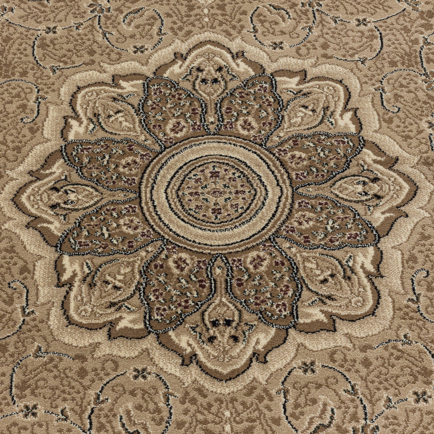 Teppich Kashmir 2601 Oriental Beige (5)