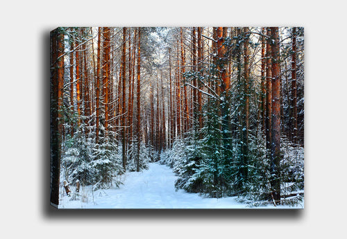 Leinwandbild Snow Forest Mehrfarben, & OYOTR-DEV329834117 & OYOTR-DEV329834117 & OYOTR-DEV329834117