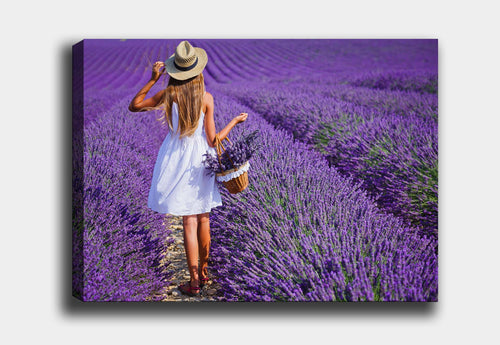 Leinwandbild Lavender Field Mehrfarben, & OYOTR-DEV390994603 & OYOTR-DEV390994603