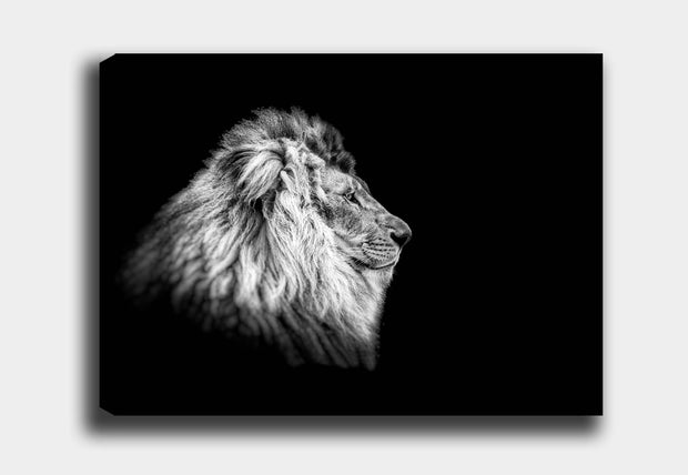 Leinwandbild Black Lion Mehrfarben, & OYOTR-DEV590776598 & OYOTR-DEV590776598 & OYOTR-DEV590776598