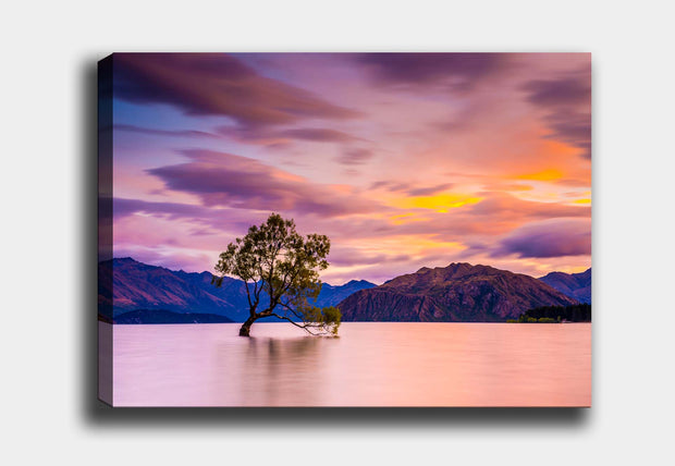 Leinwandbild Wanaka Tree Mehrfarben, & OYOTR-DEV615891431 & OYOTR-DEV615891431 & OYOTR-DEV615891431