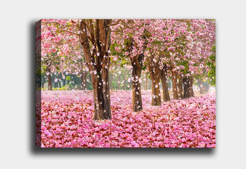 Leinwandbild Romantic Pink Blossom Mehrfarben, & OYOTR-DEV628633070 & OYOTR-DEV628633070