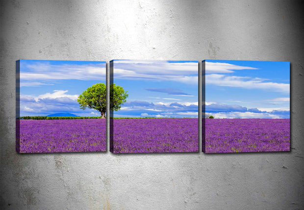 Leinwandbilder 3er Set Lavender Field Mehrfarben, 90 x 30 cm